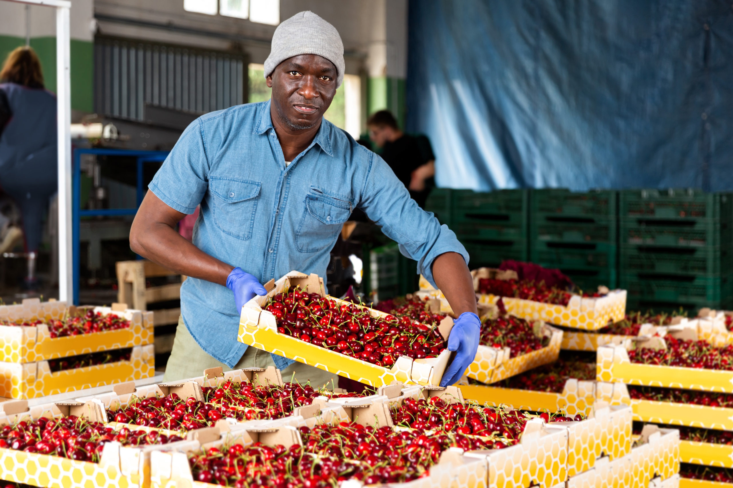 Empowering South African Farmers to Export: the role of BPOs in Streamlining the Process