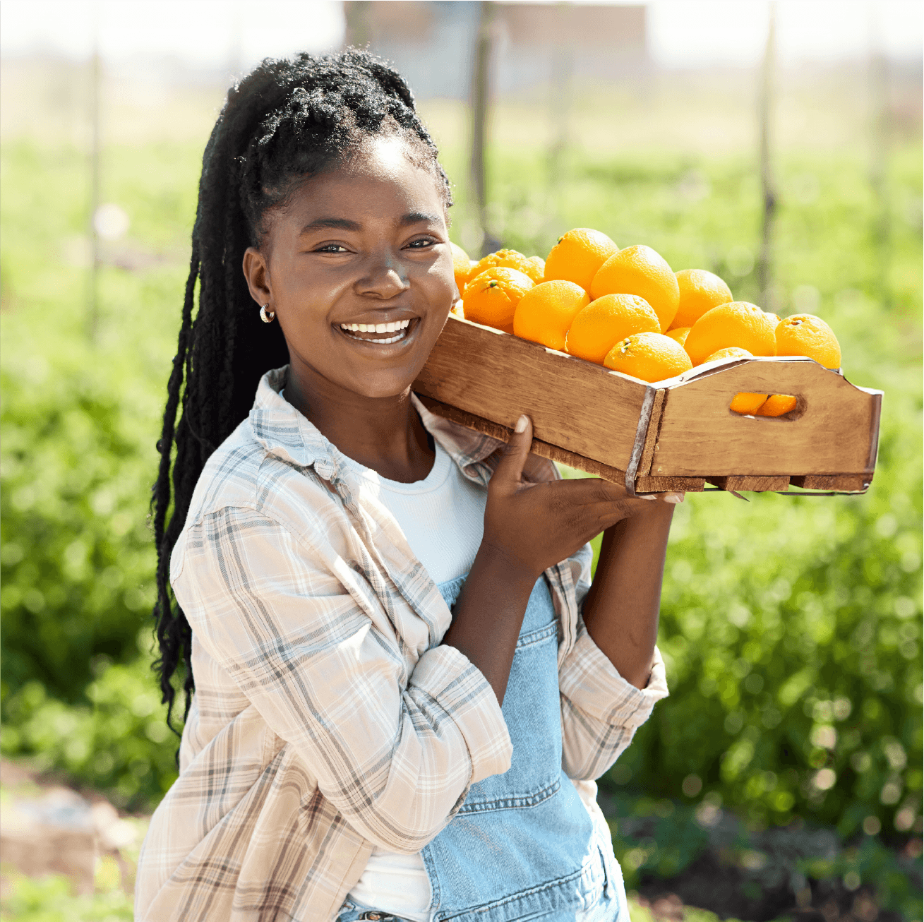 TES providers can boost profitability and enhance community relations in the citrus farming industry