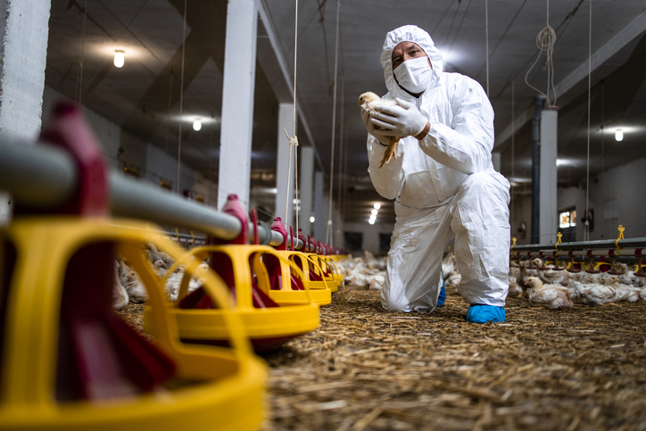 Temporary employment services help the poultry industry navigate staffing challenges
